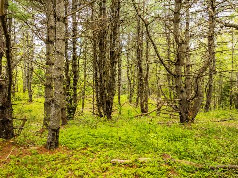 572 Old County Road Washington ME 04574
