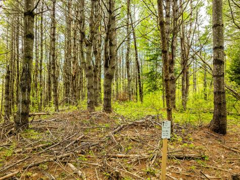 572 Old County Road Washington ME 04574