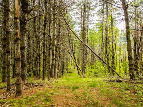 572 Old County Road Washington ME 04574