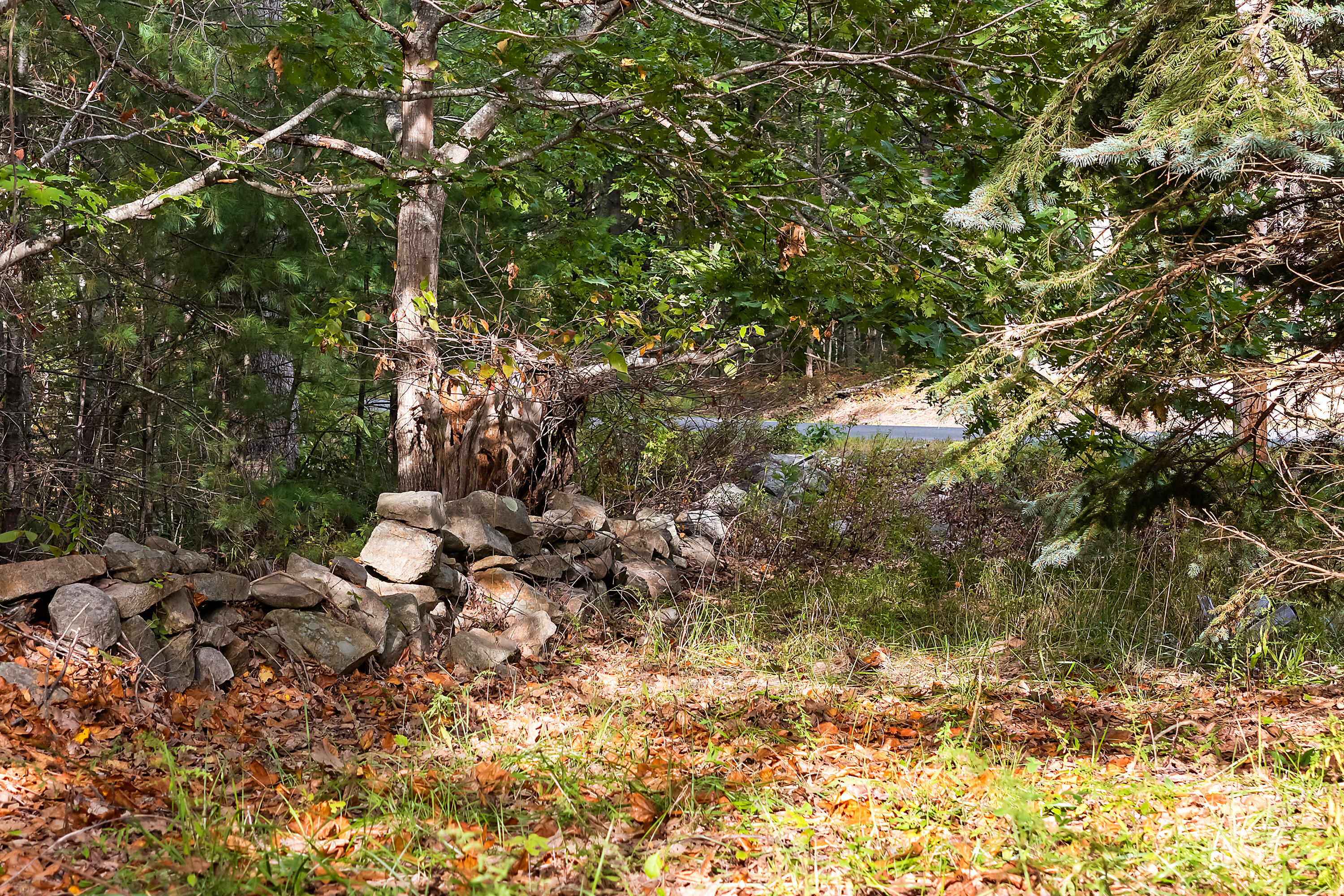 350 Pine Hill Road York ME 03902