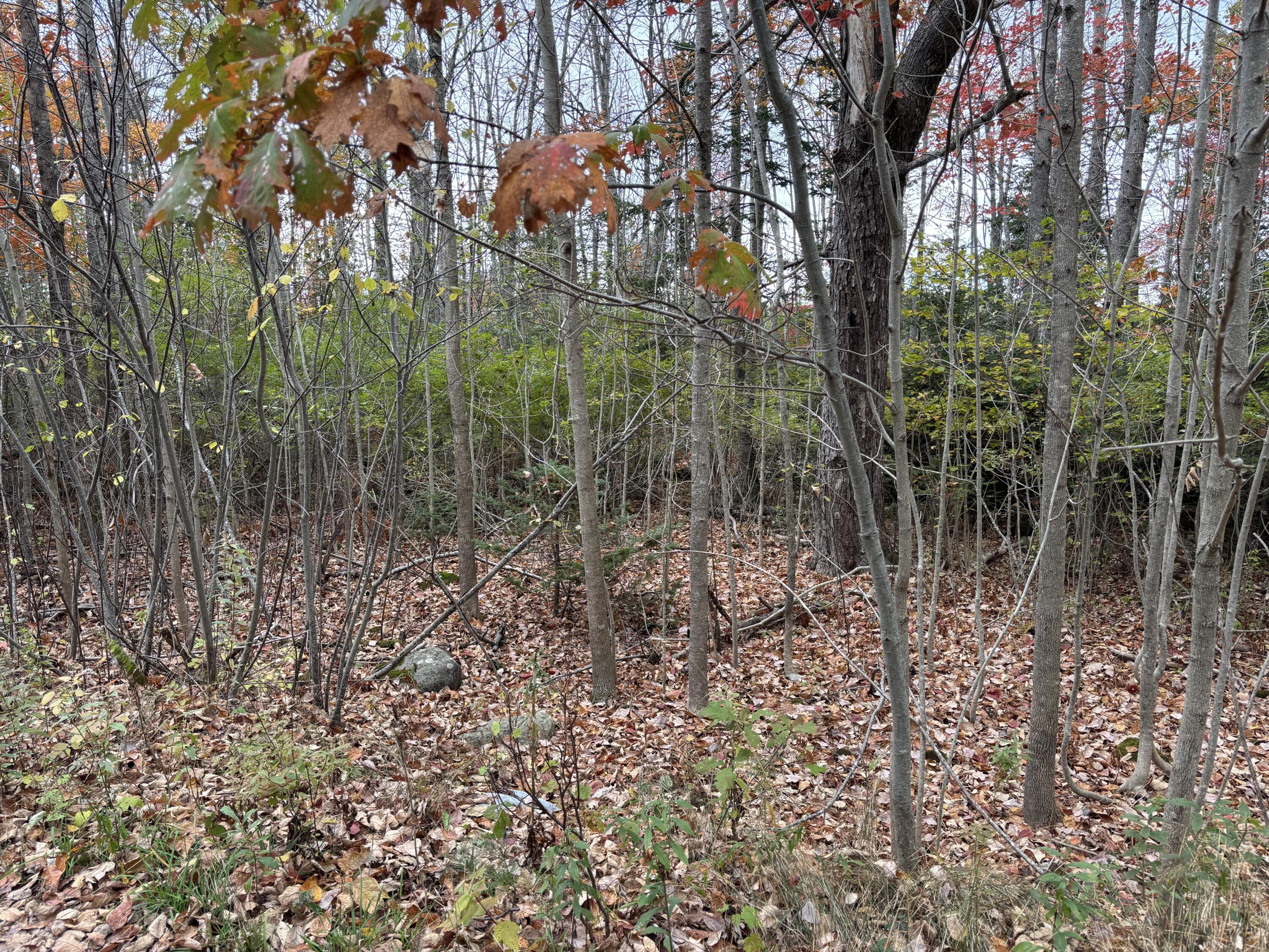 00 Beechland Road Ellsworth ME 04605