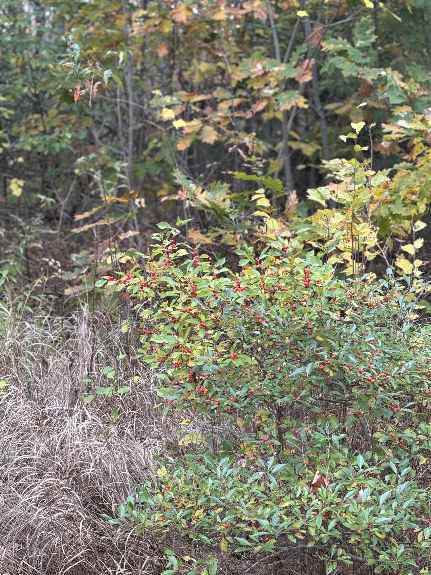 00 Beechland Road Ellsworth ME 04605