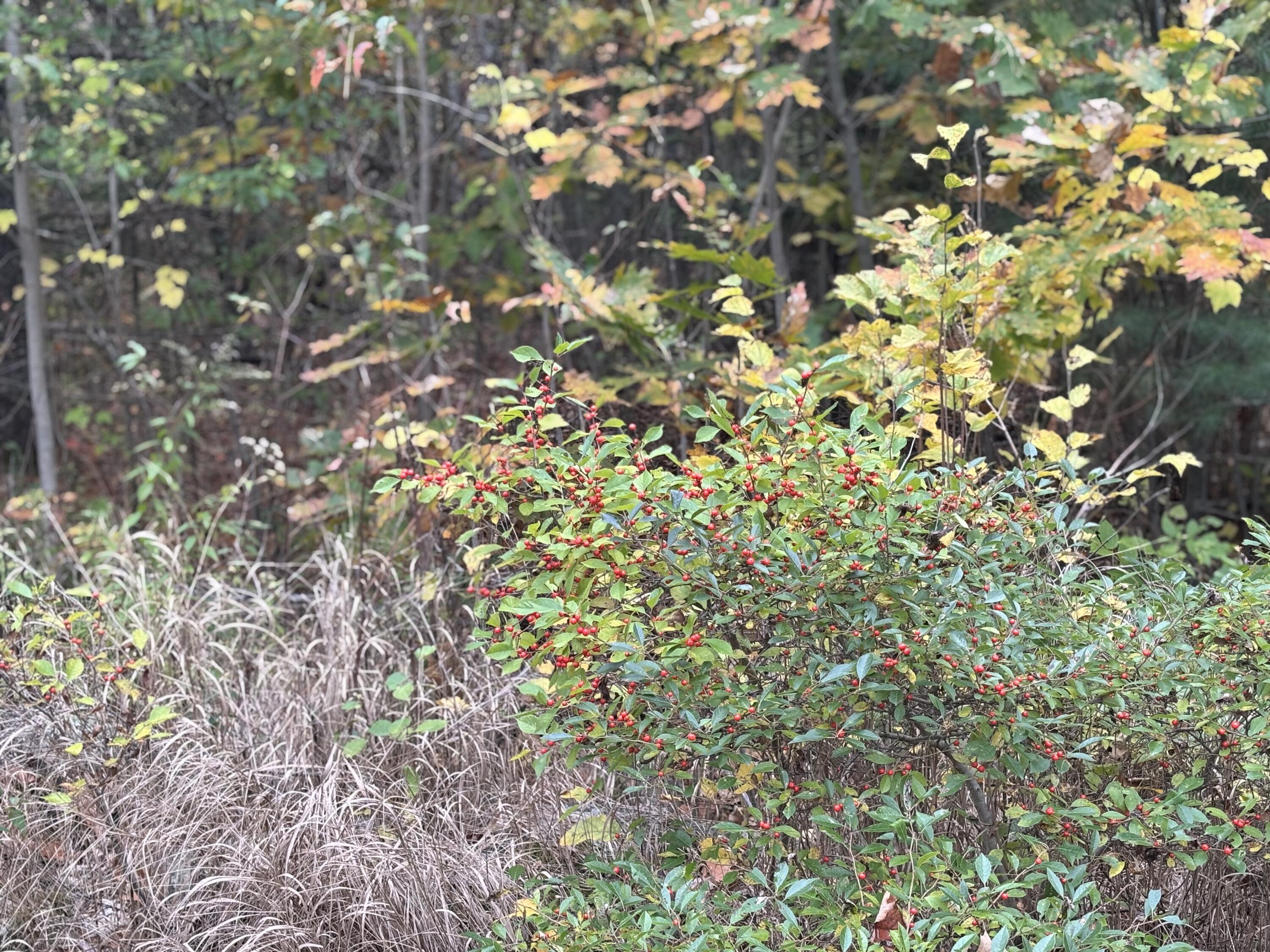 00 Beechland Road Ellsworth ME 04605