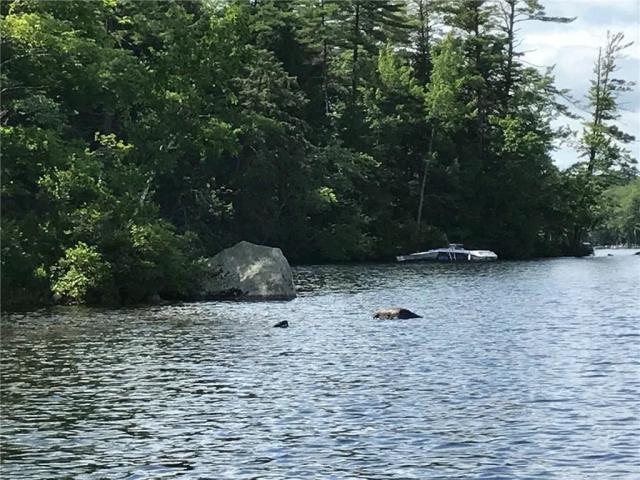 Lot 160-5 Zakelo Island Road Harrison ME 04040