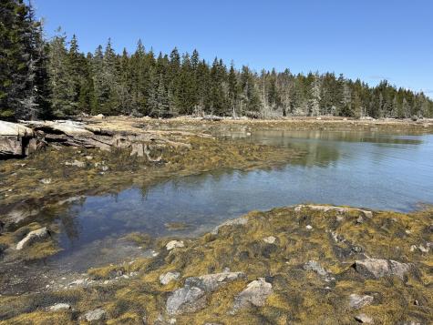 Part Of Map 1, Lot 18, Jericho Bay Road Swans Island ME 04685