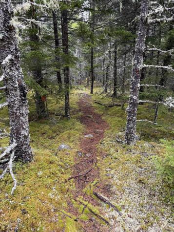 Part Of Map 1, Lot 18, Jericho Bay Road Swans Island ME 04685