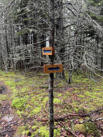 Part Of Map 1, Lot 18, Jericho Bay Road Swans Island ME 04685