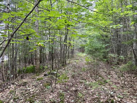 Tbd East Road Greenville ME 04441
