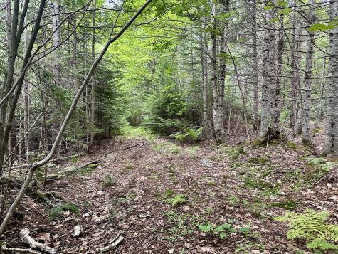 Tbd East Road Greenville ME 04441