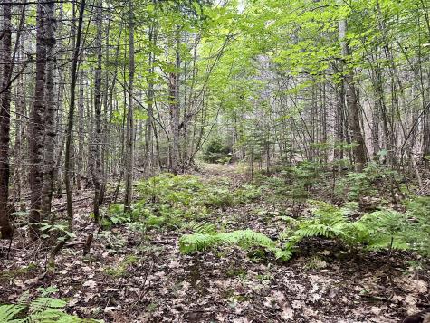 Tbd East Road Greenville ME 04441