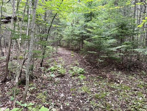 Tbd East Road Greenville ME 04441