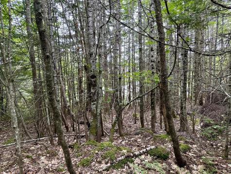 Tbd East Road Greenville ME 04441