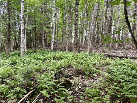 Tbd East Road Greenville ME 04441