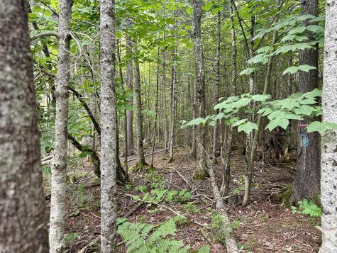 Tbd East Road Greenville ME 04441