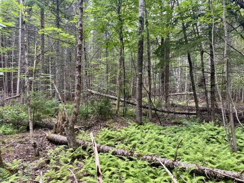 Tbd East Road Greenville ME 04441