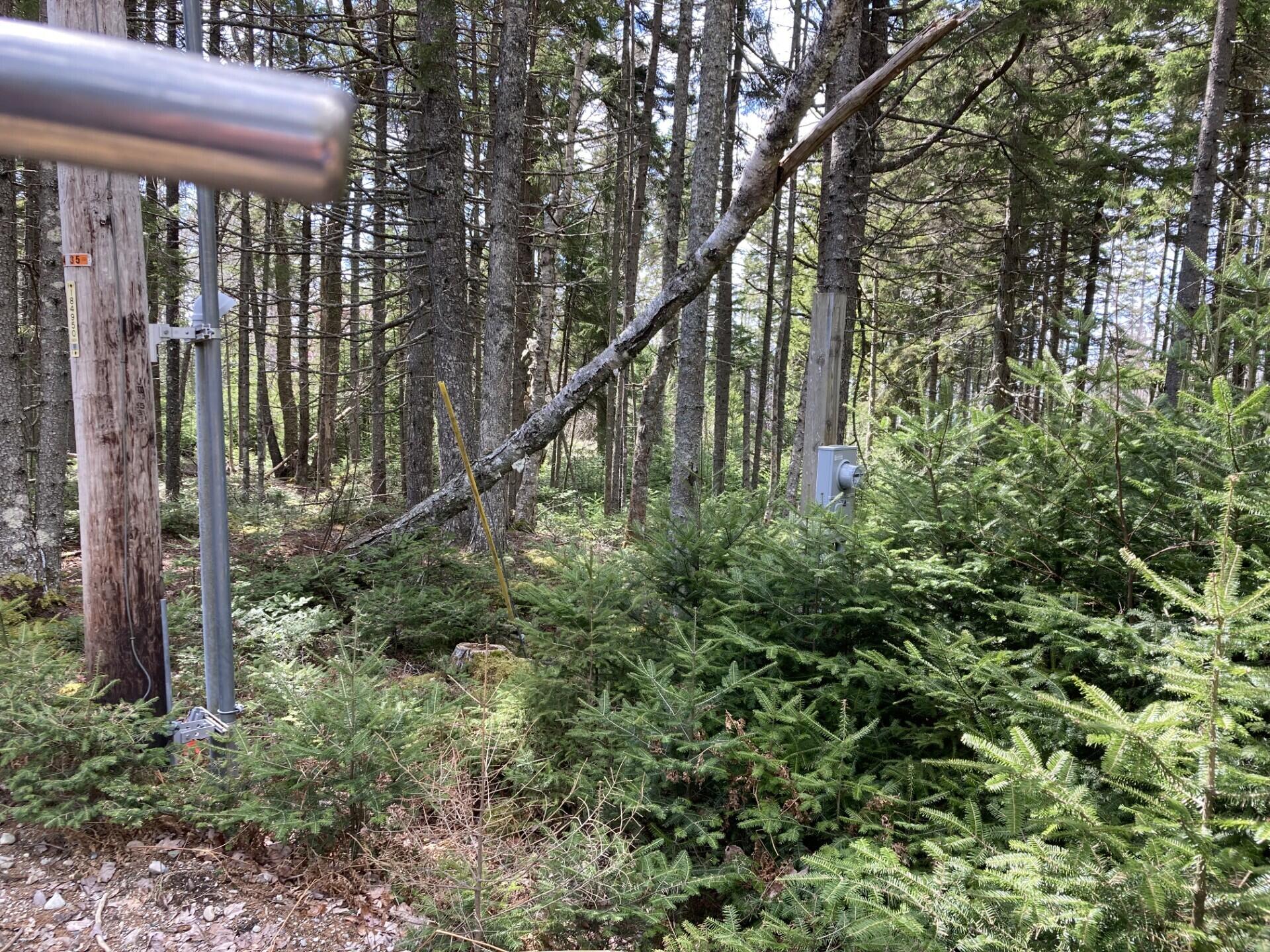 Lot #17 Wilderness Shores Road Steuben ME 04680