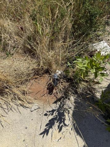 39 Burleigh Road Stetson ME 04488