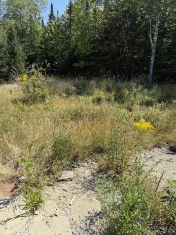 39 Burleigh Road Stetson ME 04488