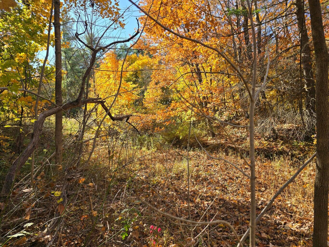 75 Lucille Avenue Lewiston ME 04240