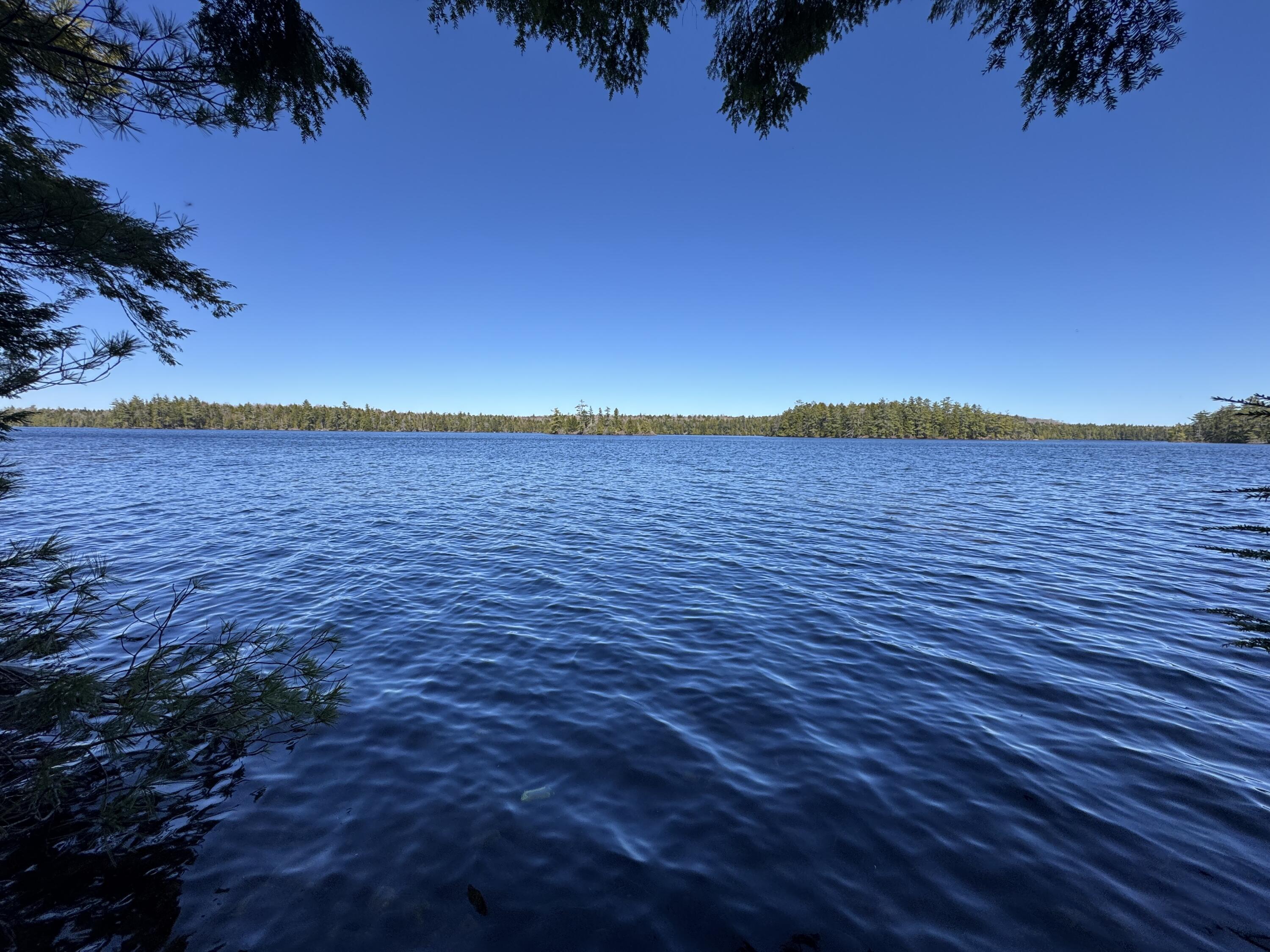 Lot 117n Long Lake Road Wesley ME 04686