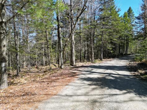 Lot 117n Long Lake Road Wesley ME 04686