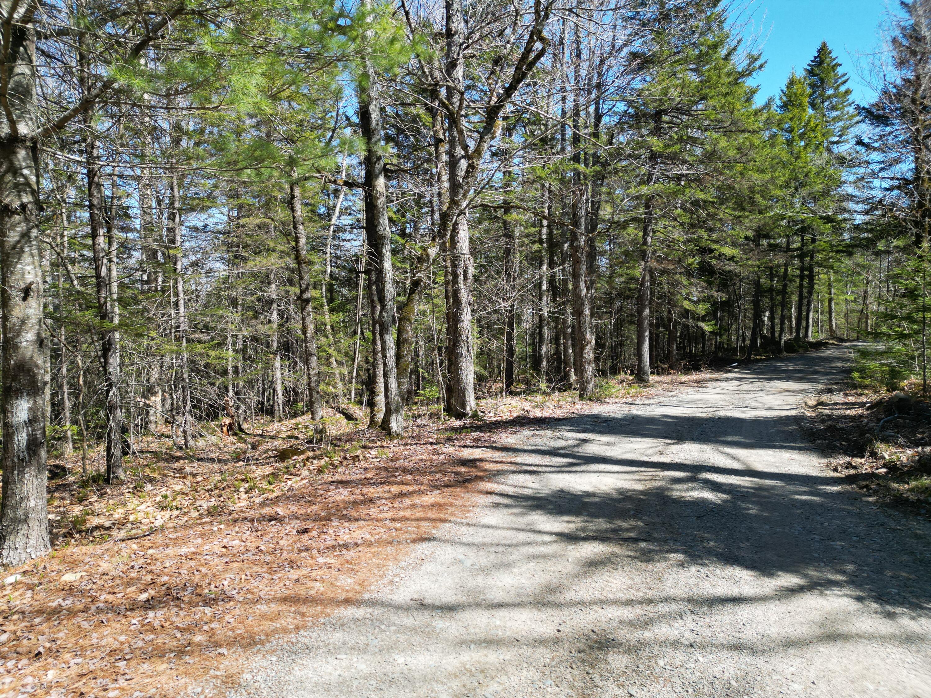Lot 117n Long Lake Road Wesley ME 04686