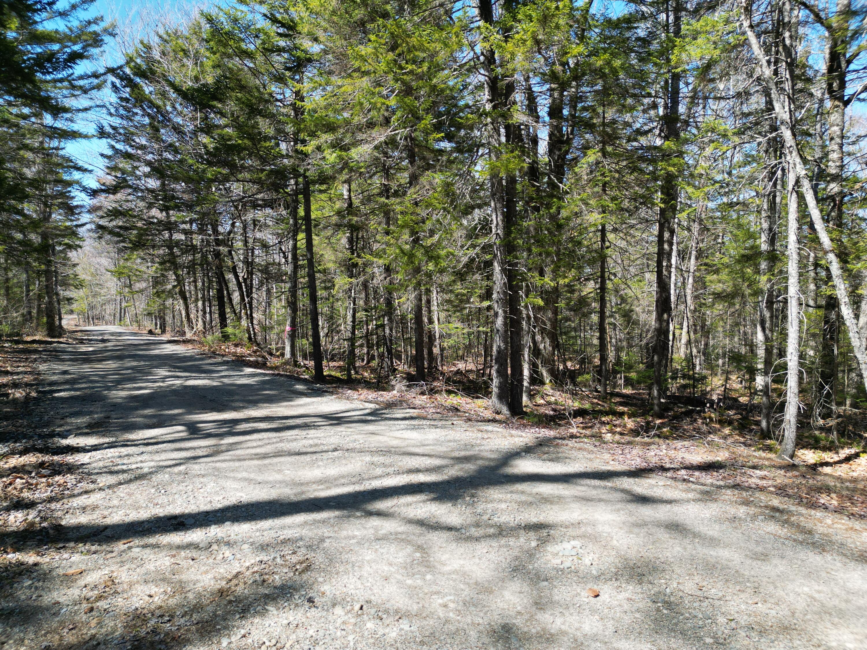 Lot 117n Long Lake Road Wesley ME 04686