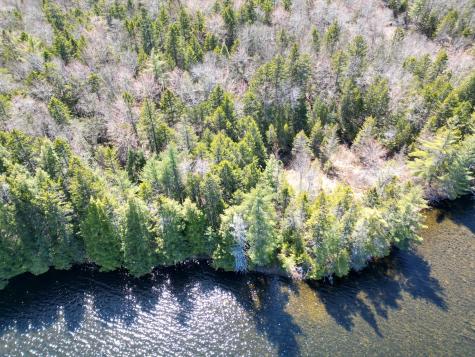 Lot 117n Long Lake Road Wesley ME 04686