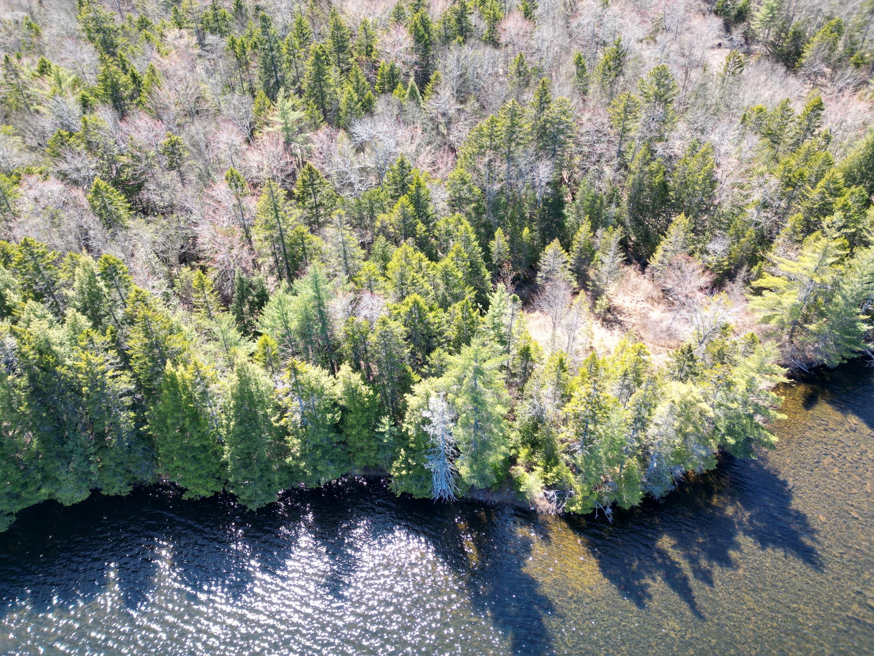 Lot 117n Long Lake Road Wesley ME 04686