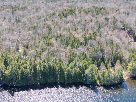 Lot 117n Long Lake Road Wesley ME 04686