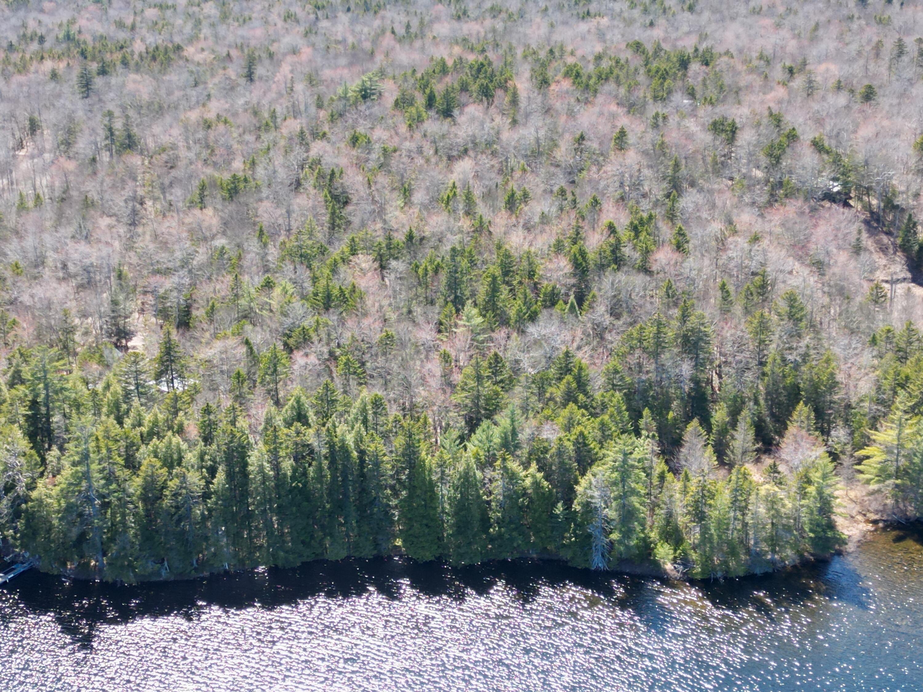 Lot 117n Long Lake Road Wesley ME 04686