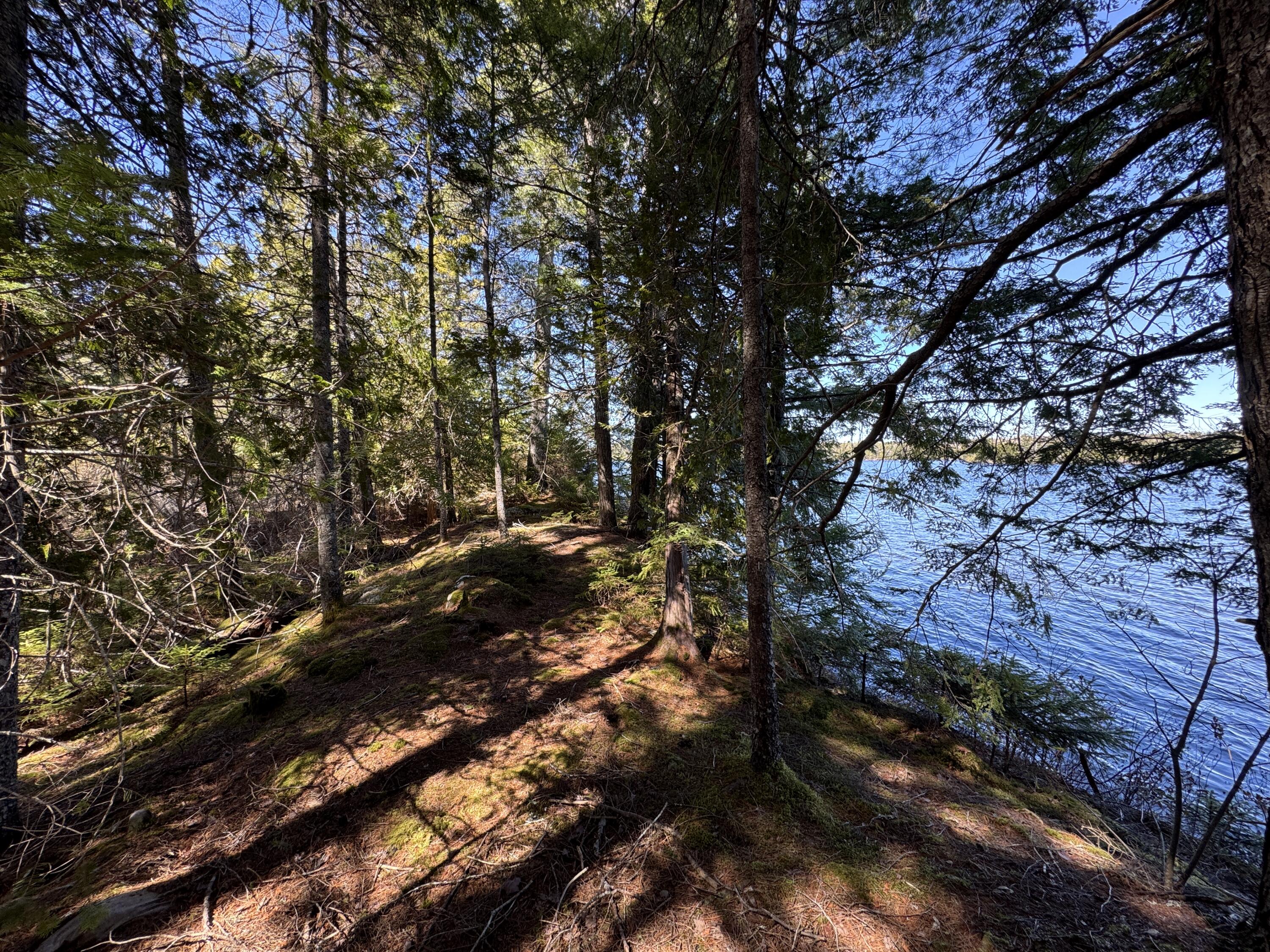 Lot 117n Long Lake Road Wesley ME 04686