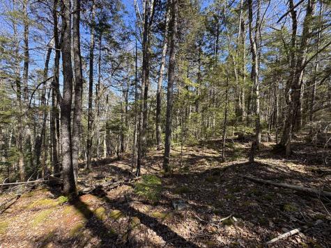 Lot 117n Long Lake Road Wesley ME 04686