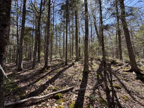 Lot 117n Long Lake Road Wesley ME 04686