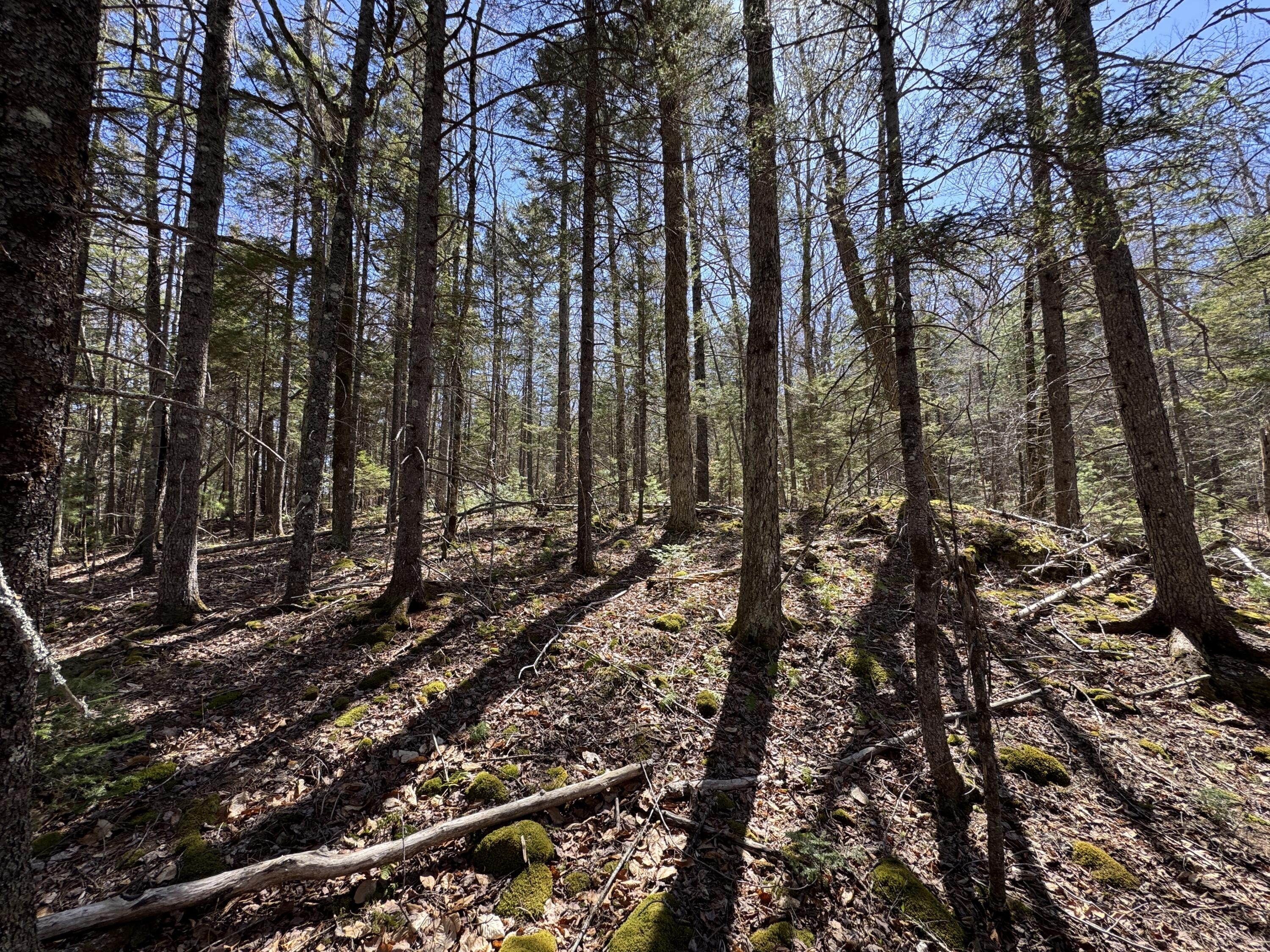 Lot 117n Long Lake Road Wesley ME 04686