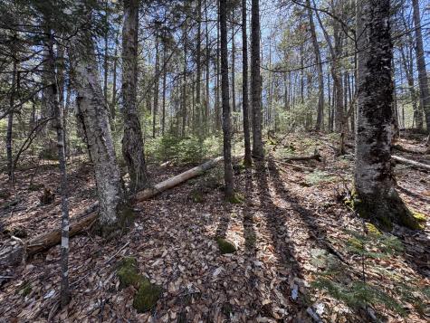 Lot 117n Long Lake Road Wesley ME 04686