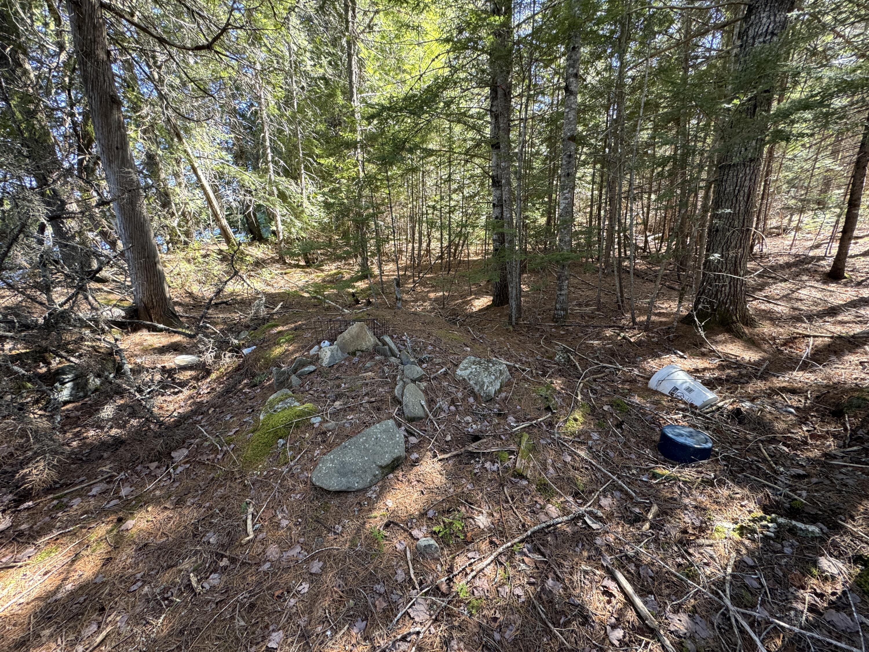 Lot 117n Long Lake Road Wesley ME 04686