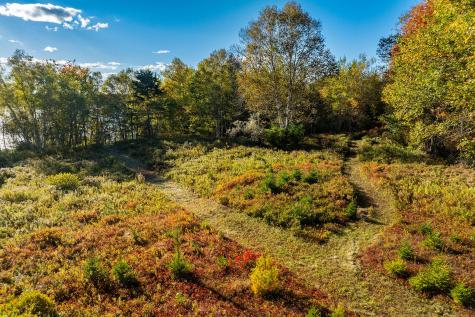 Lot 55b Ficketts Point Road Milbridge ME 04658