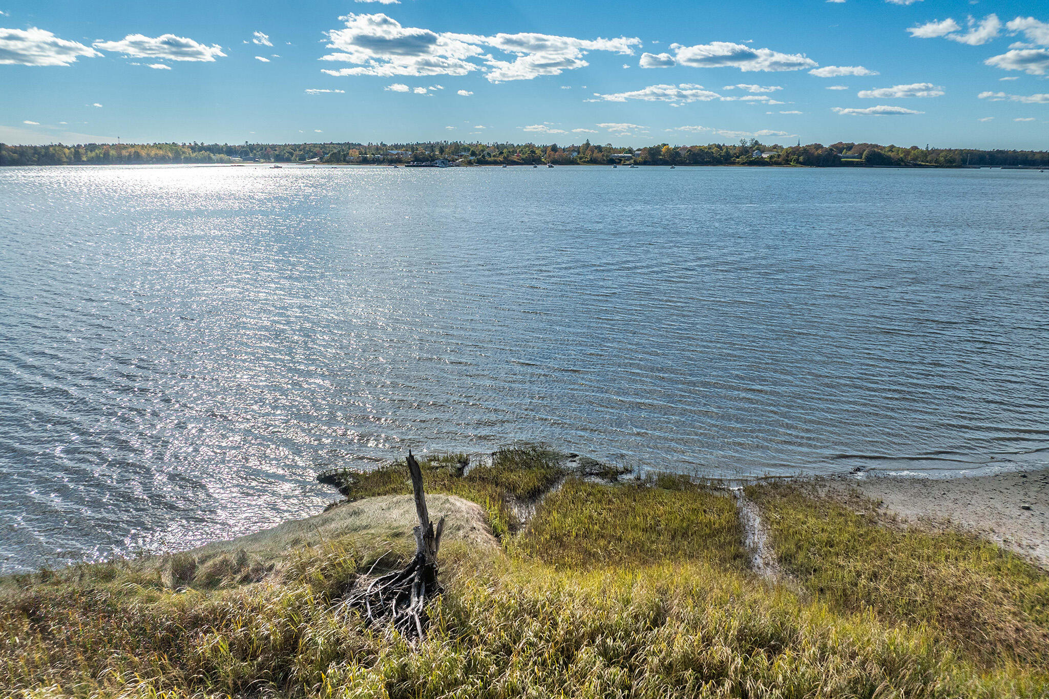 Lot 55b Ficketts Point Road Milbridge ME 04658