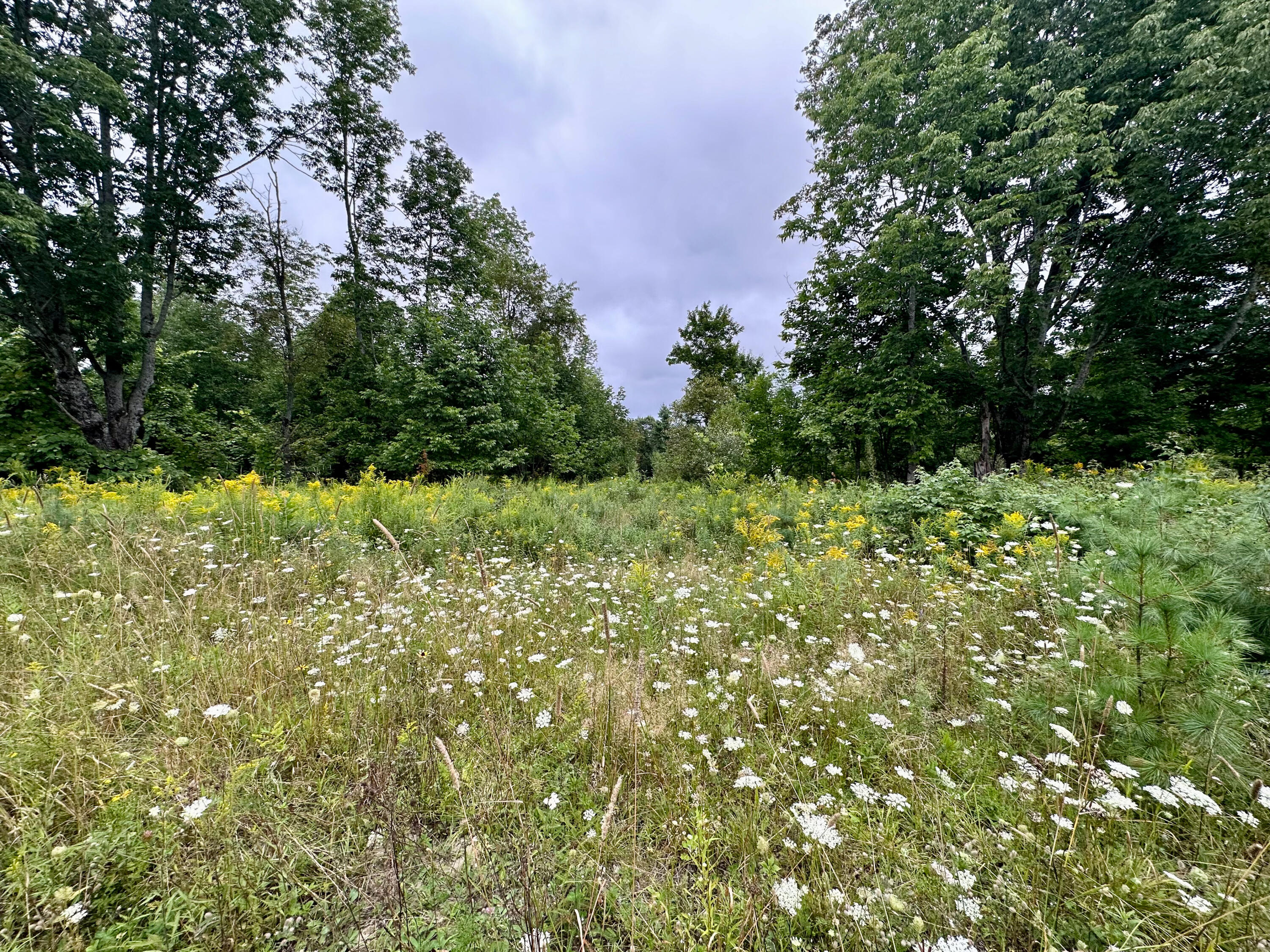 Lot 9 Off Route 1a Holden ME 04429