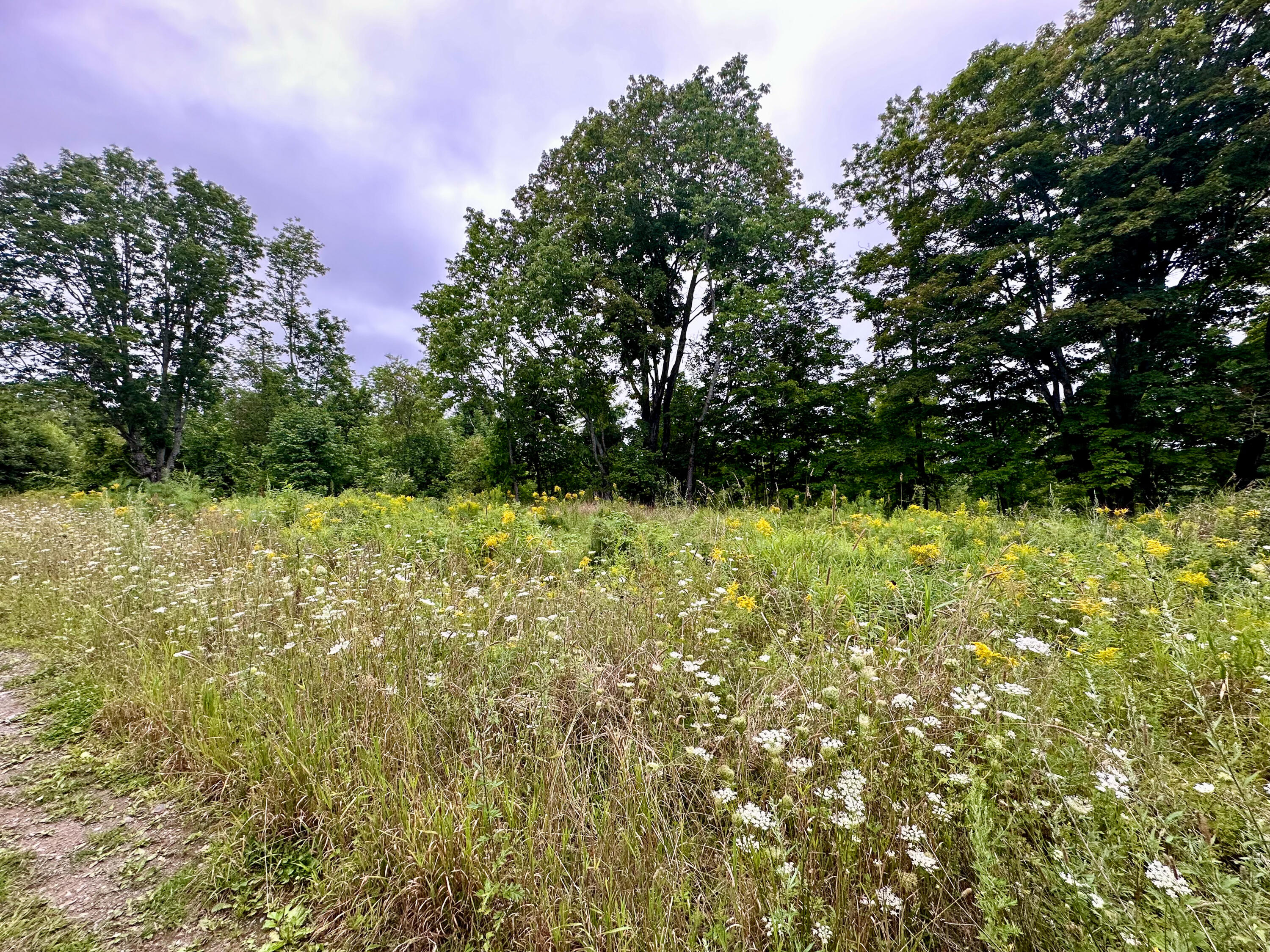 Lot 9 Off Route 1a Holden ME 04429