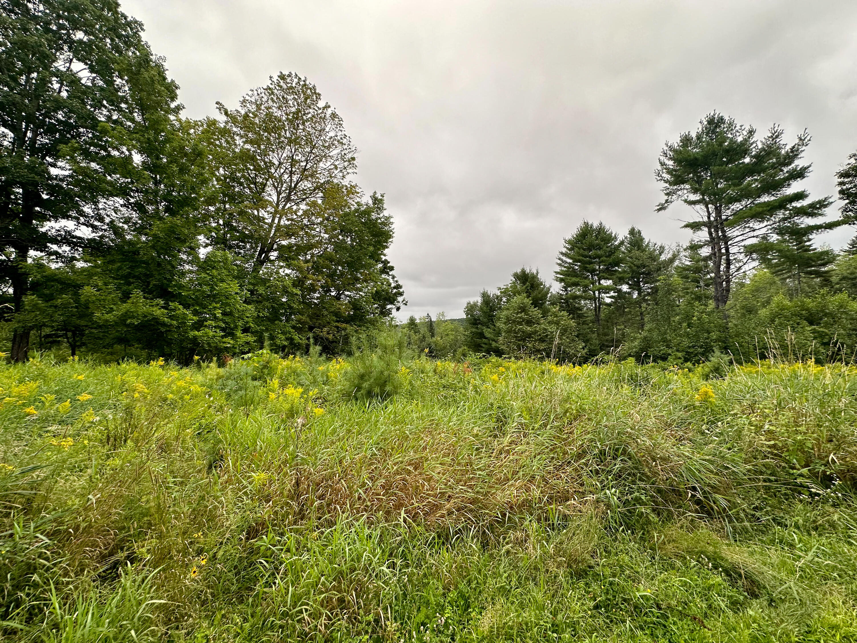 Lot 9 Off Route 1a Holden ME 04429