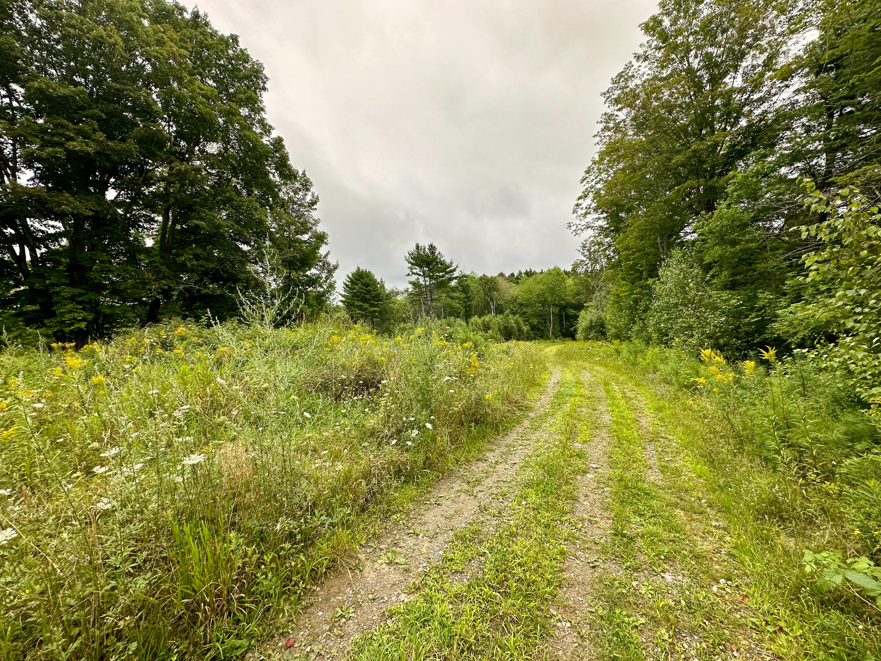 Lot 9 Off Route 1a Holden ME 04429