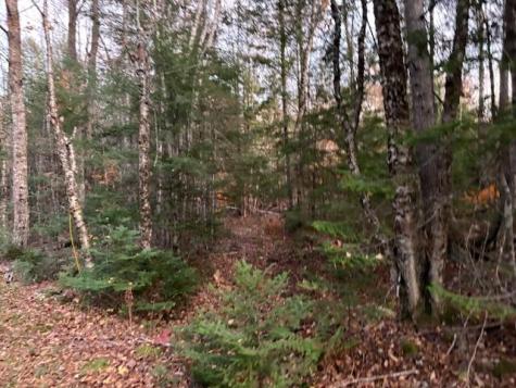 6 Crazy Bear Lane Abbot ME 04406