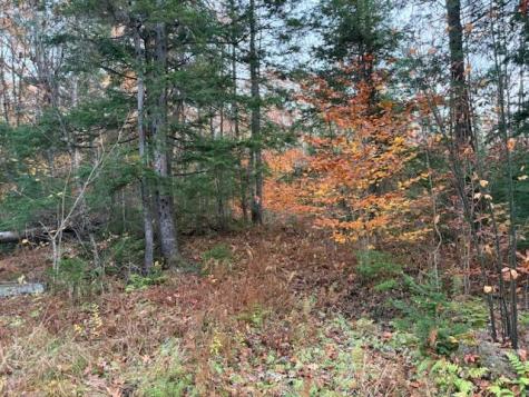 6 Crazy Bear Lane Abbot ME 04406