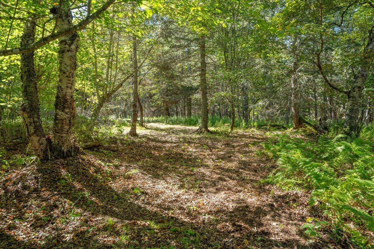 0 Fog Island Isle Au Haut ME 04645