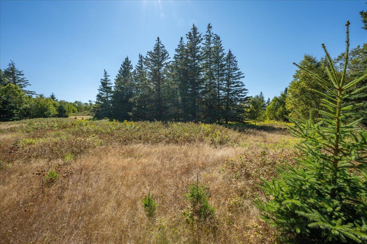 0 Fog Island Isle Au Haut ME 04645