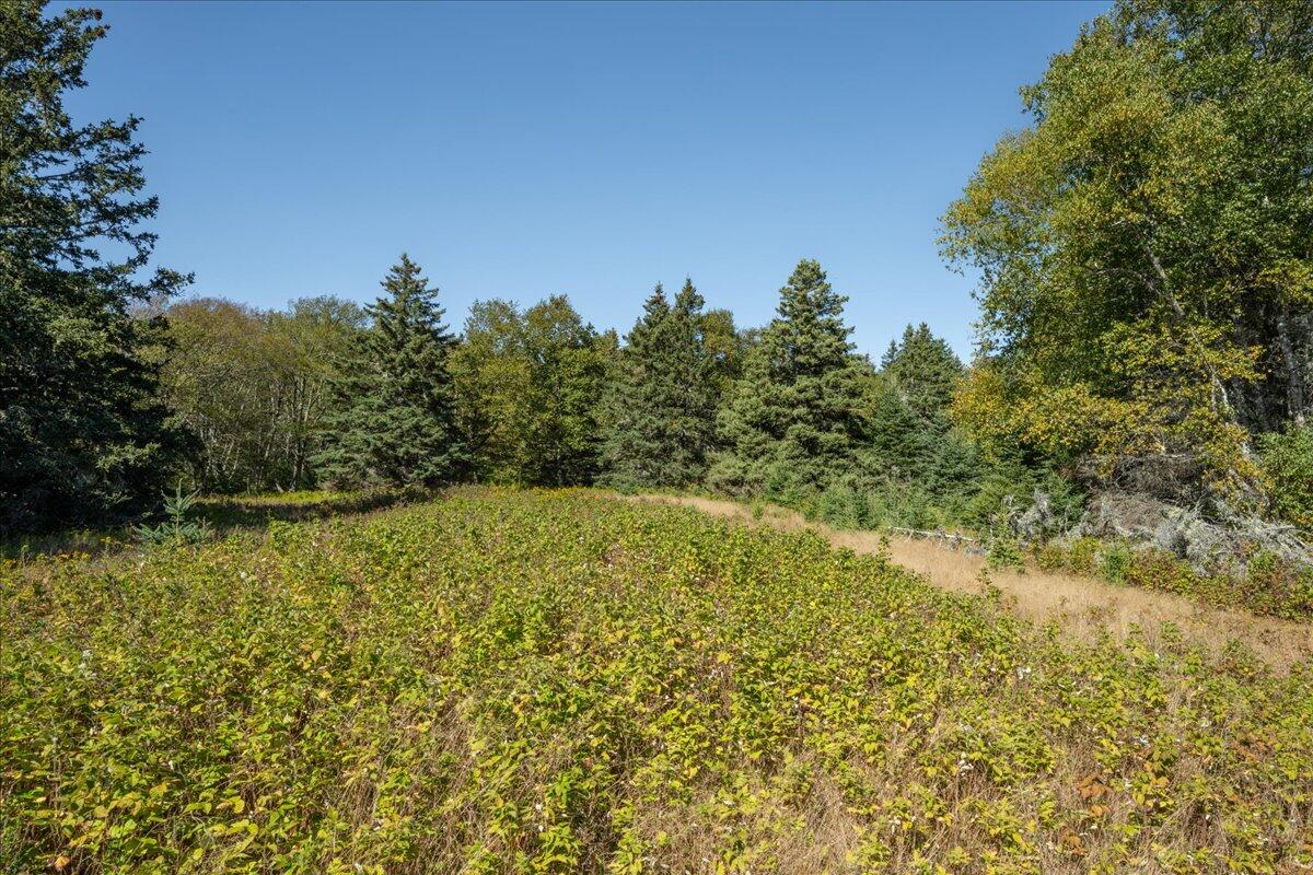 0 Fog Island Isle Au Haut ME 04645