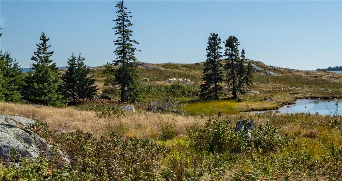 0 Fog Island Isle Au Haut ME 04645