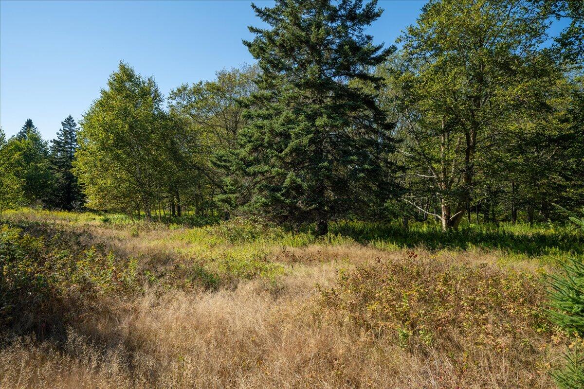 0 Fog Island Isle Au Haut ME 04645